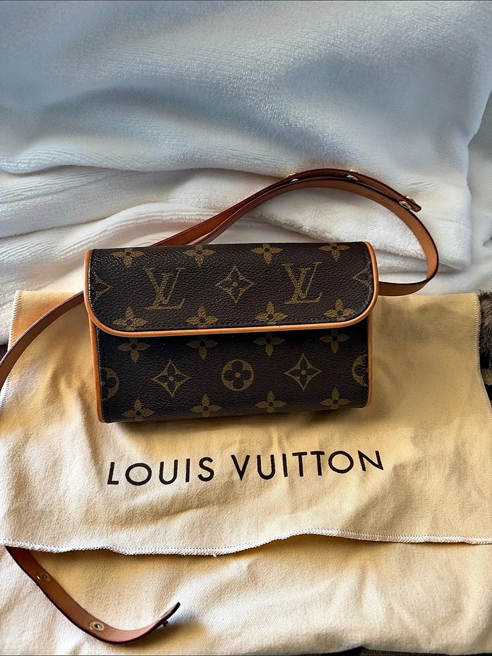 Louis Vuitton Pochette Florentine Belt Bag in Brown